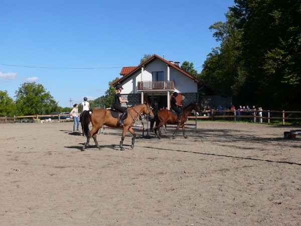 Babie Lato z Hucułami 2015